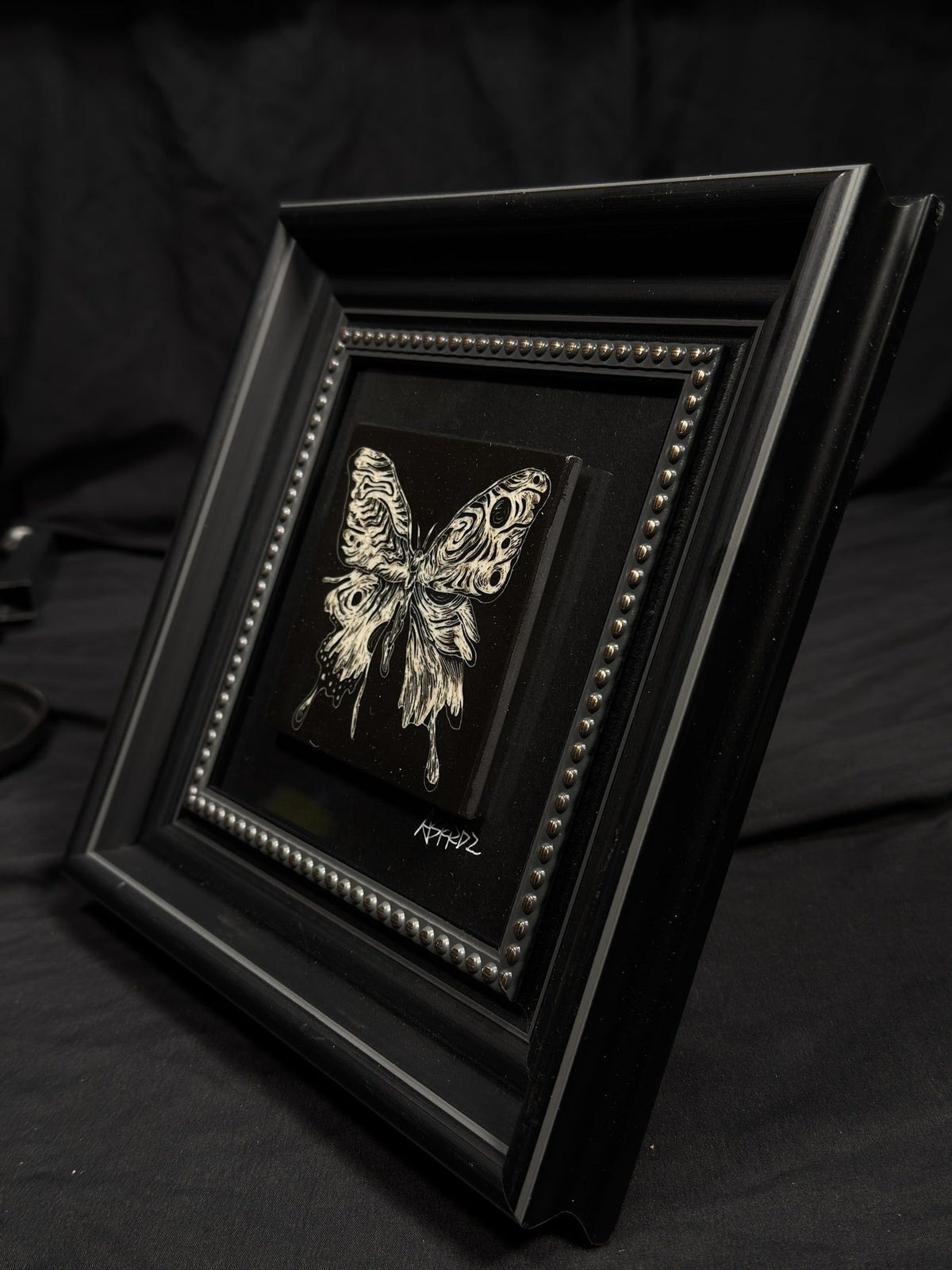 Moth & Butterfly Frame by ASKR Wares