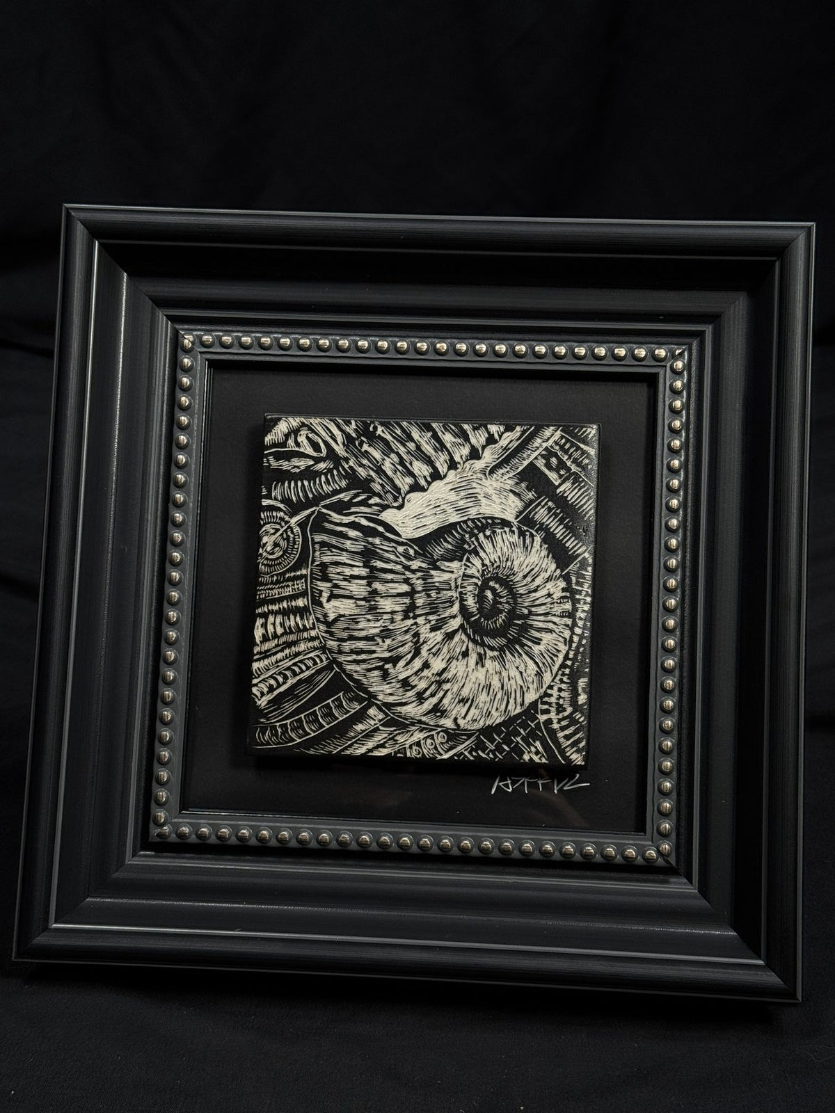 Ammonite Fossil Frame by ASKR Wares