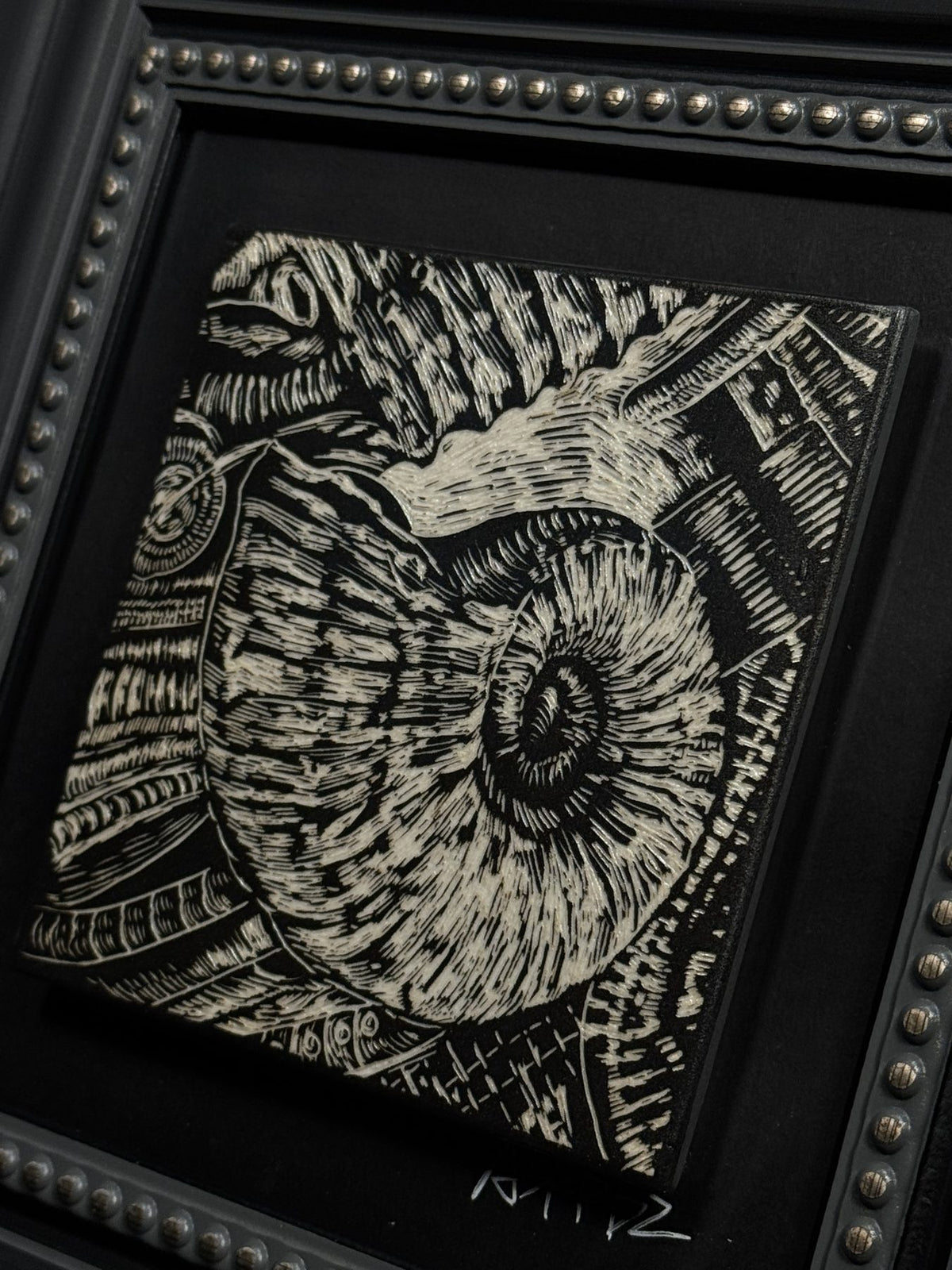 Ammonite Fossil Frame by ASKR Wares