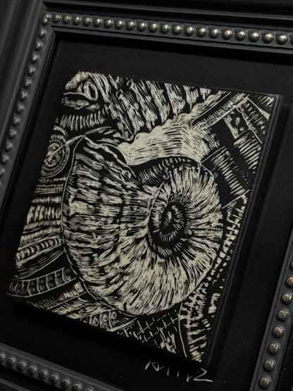 Ammonite Fossil Frame by ASKR Wares