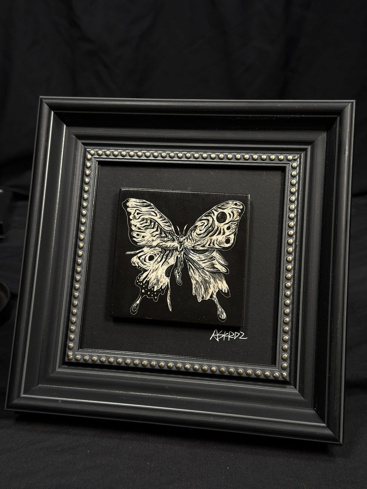 Moth & Butterfly Frame by ASKR Wares