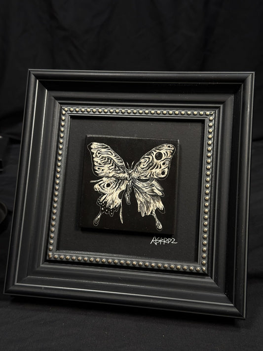 Moth & Butterfly Frame by ASKR Wares