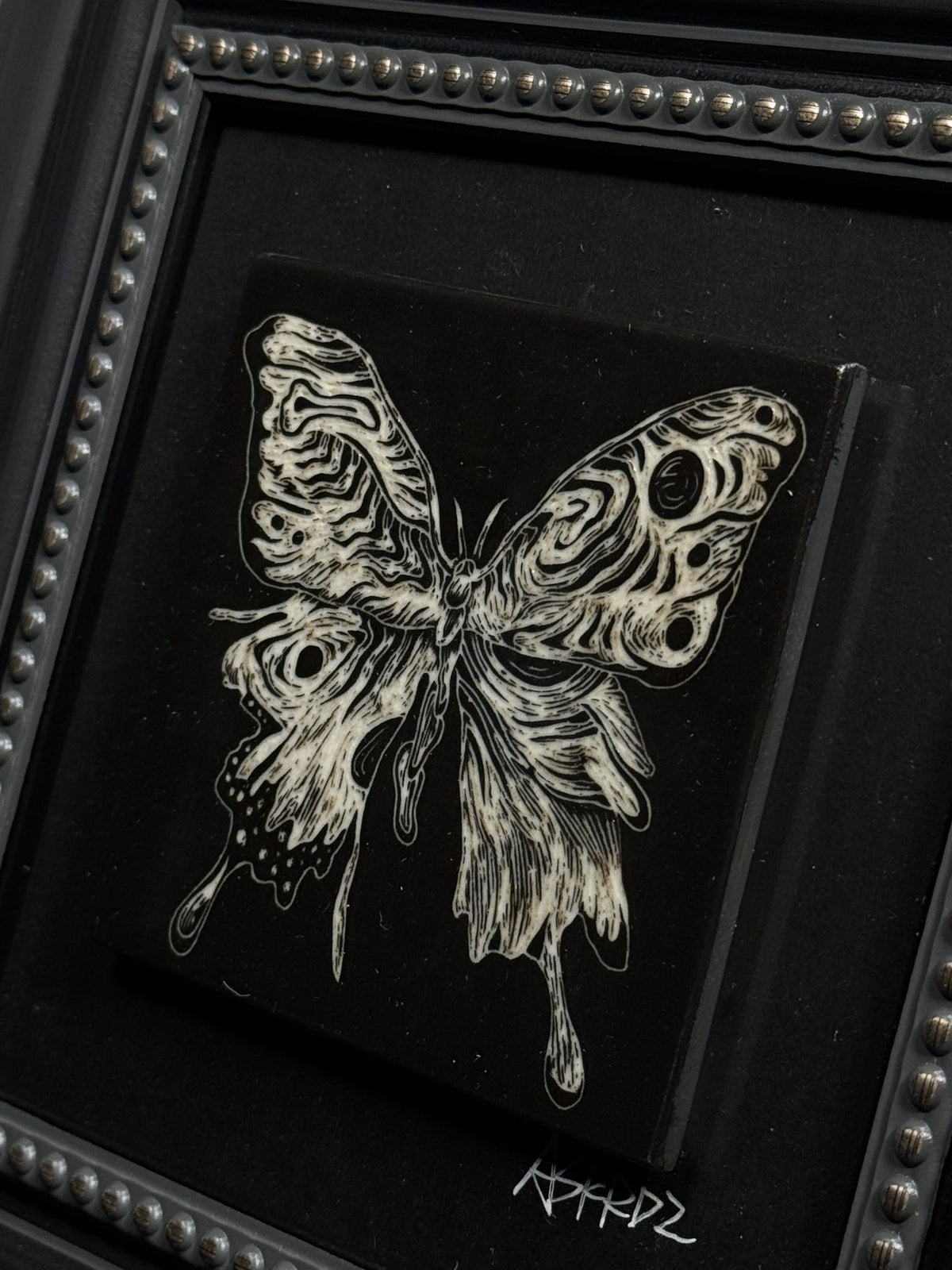 Moth & Butterfly Frame by ASKR Wares