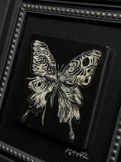 Moth & Butterfly Frame by ASKR Wares